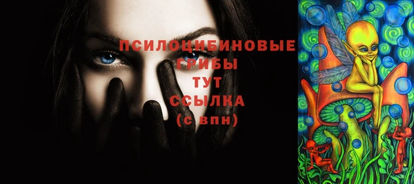 МДПВ Алексеевка