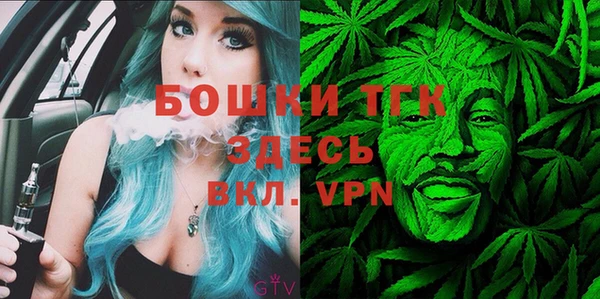 гидропоника Алзамай