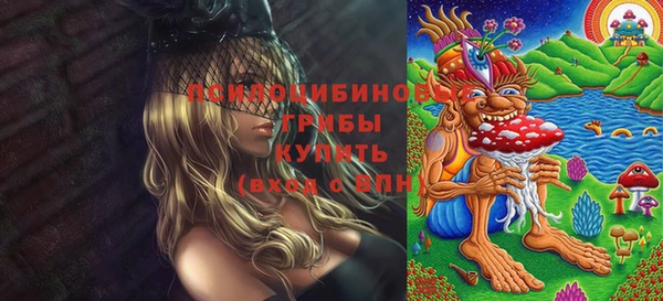 гидропоника Алзамай