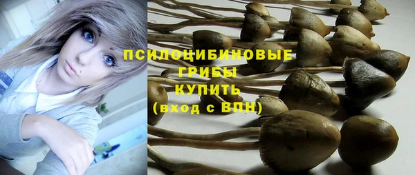 гидропоника Алзамай